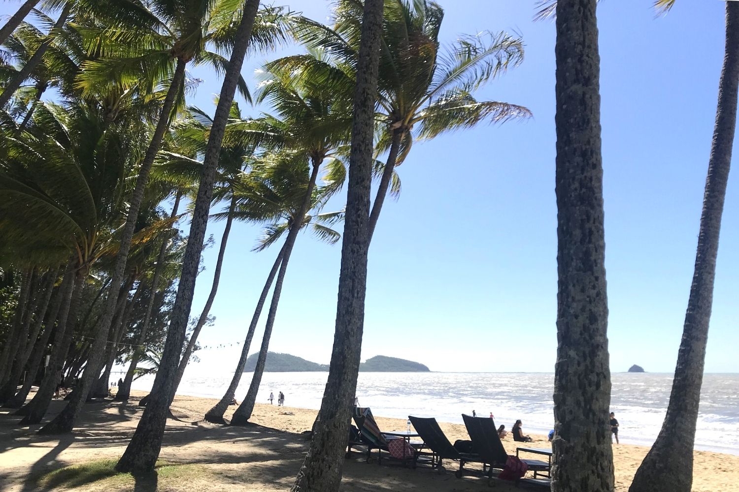 Palm Cove Tropical North Queensland Travel Guide